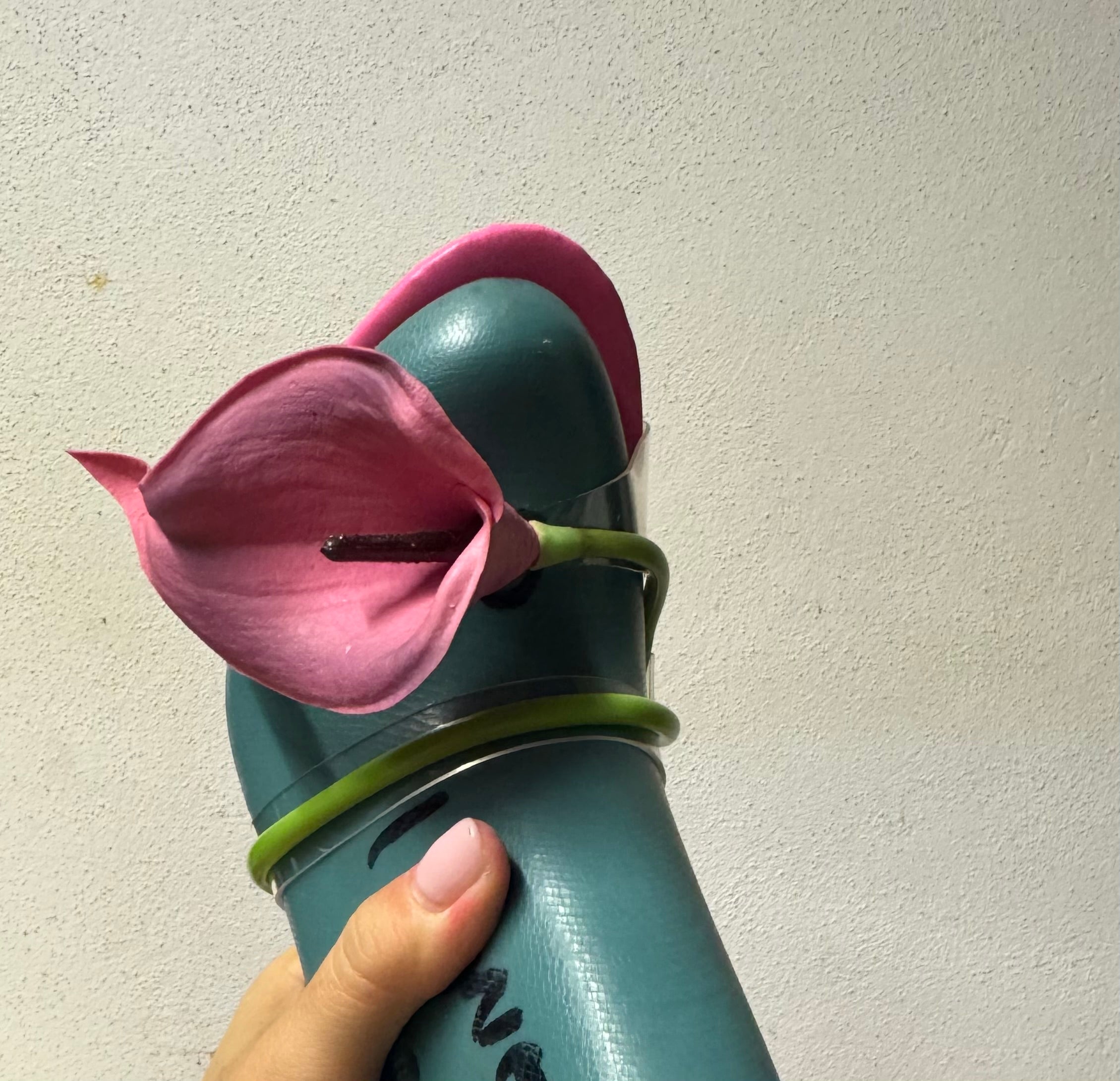 Pre orden Calla Lily Fucsia