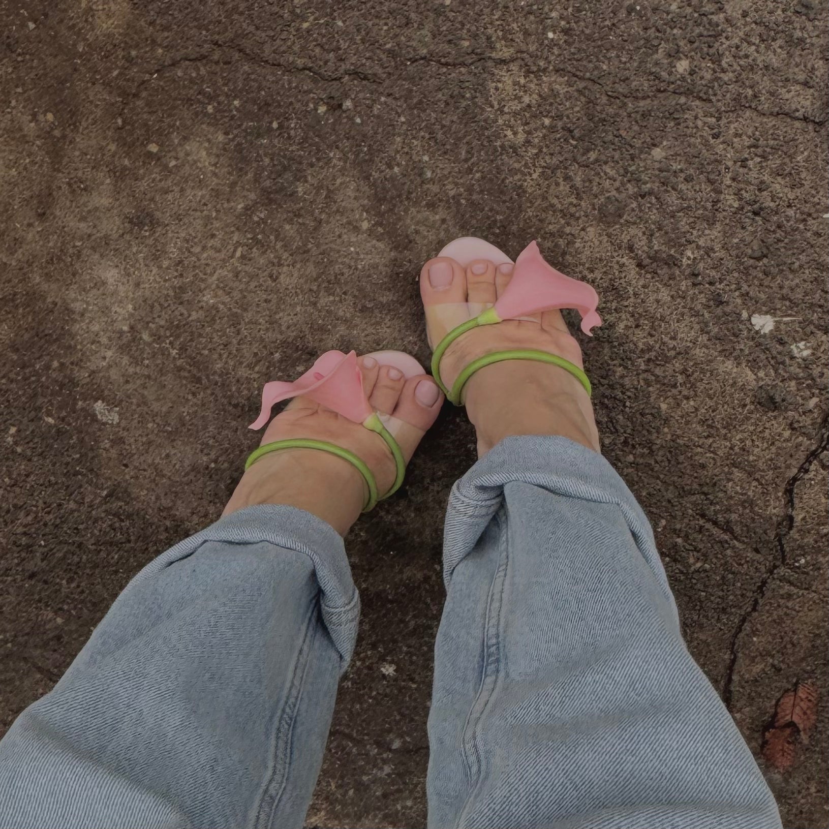 Calla Lily rosa pastel